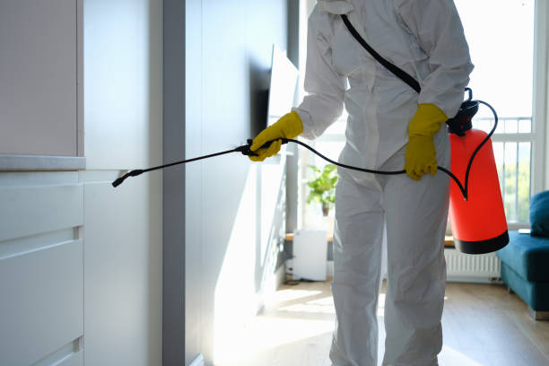 Office Mold Removal Services in State Center, IA